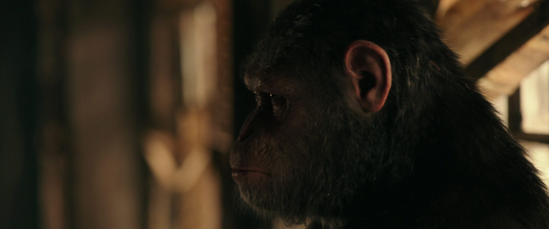War for the Planet of the Apes (2017) movie still 3778