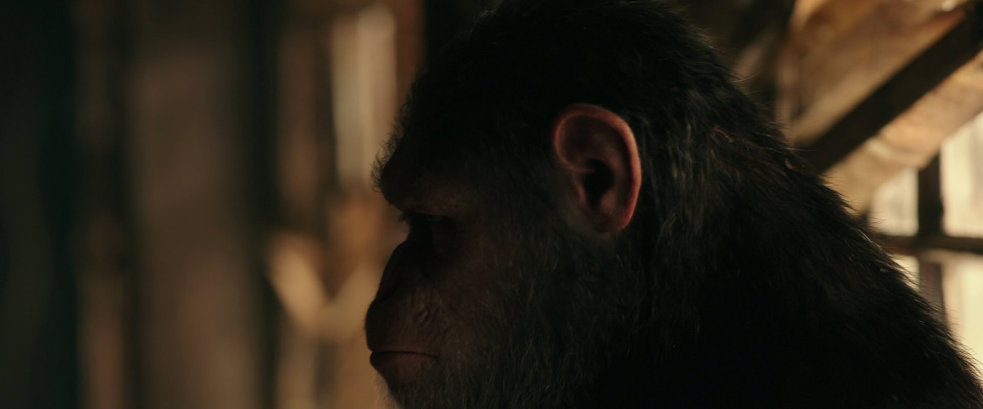 War for the Planet of the Apes (2017) HD screenshot 3779