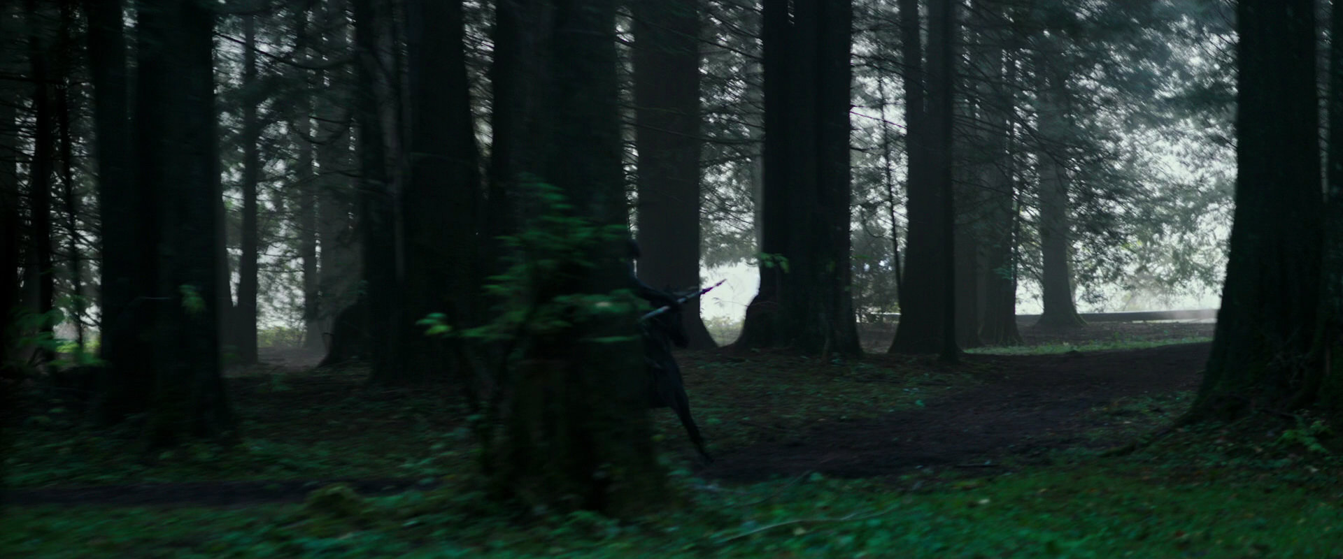 War for the Planet of the Apes (2017) screencap 378