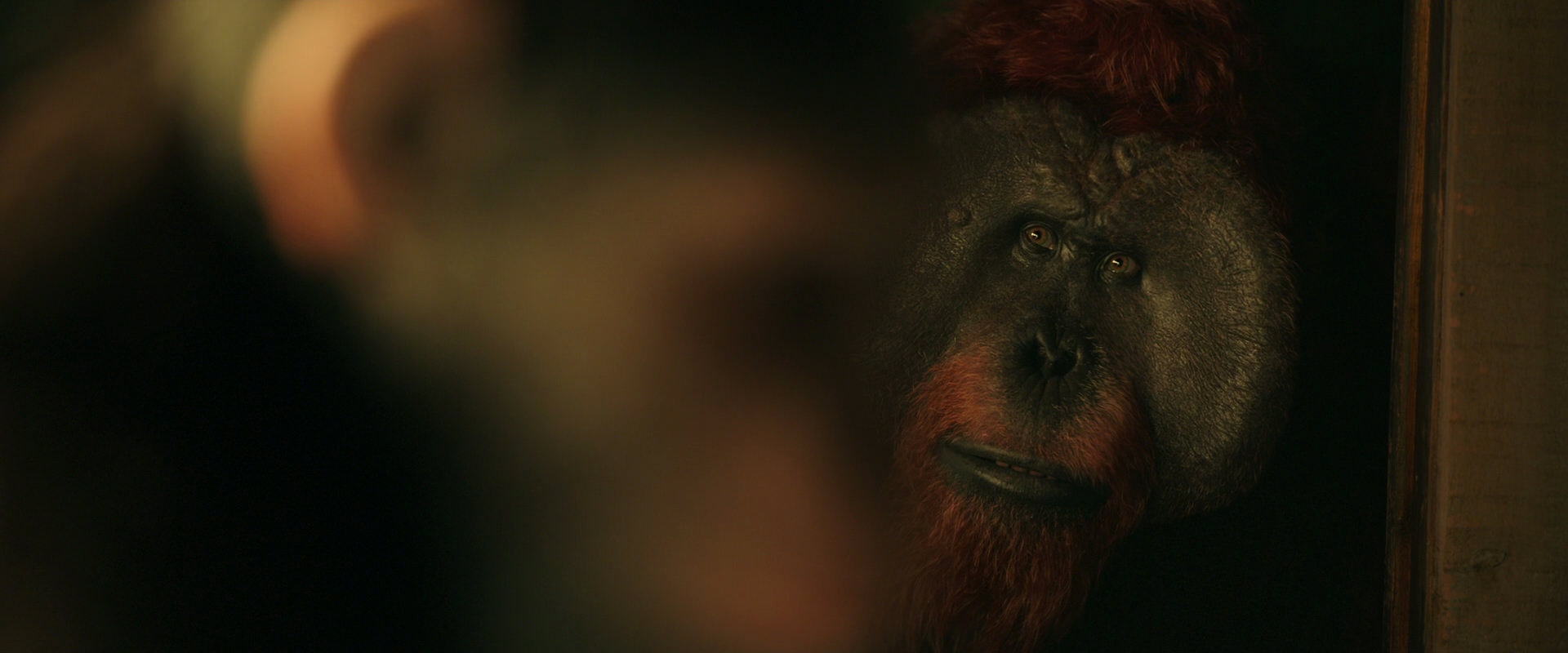 War for the Planet of the Apes (2017) screencap 3780