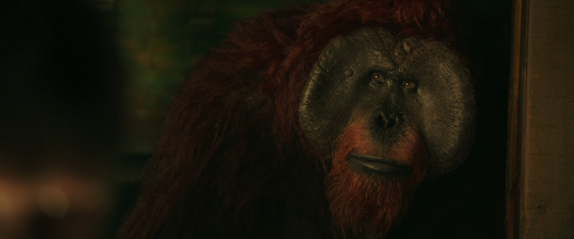 War for the Planet of the Apes (2017) HD screenshot 3782