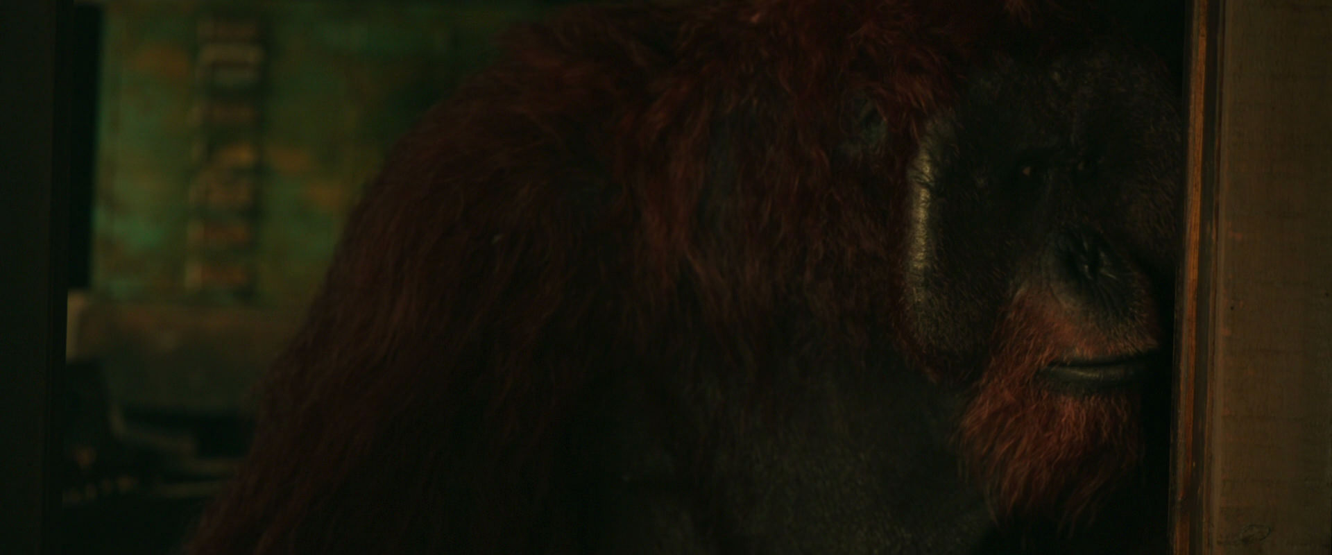 War for the Planet of the Apes (2017) screencap 3786