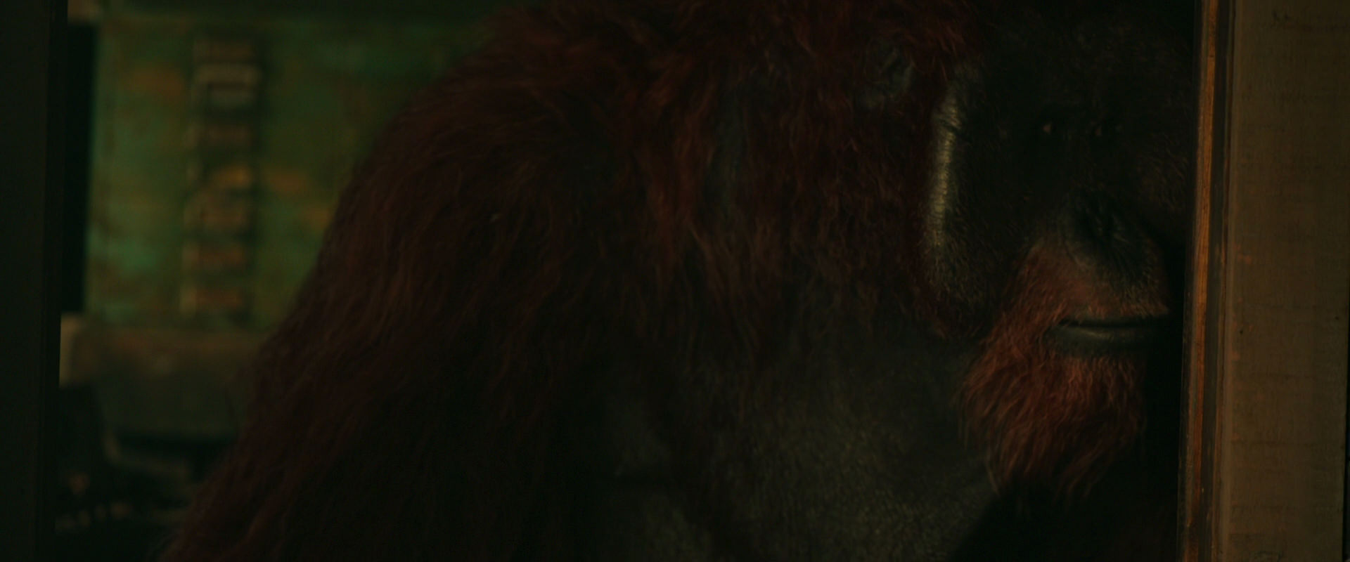 War for the Planet of the Apes (2017) movie still 3787