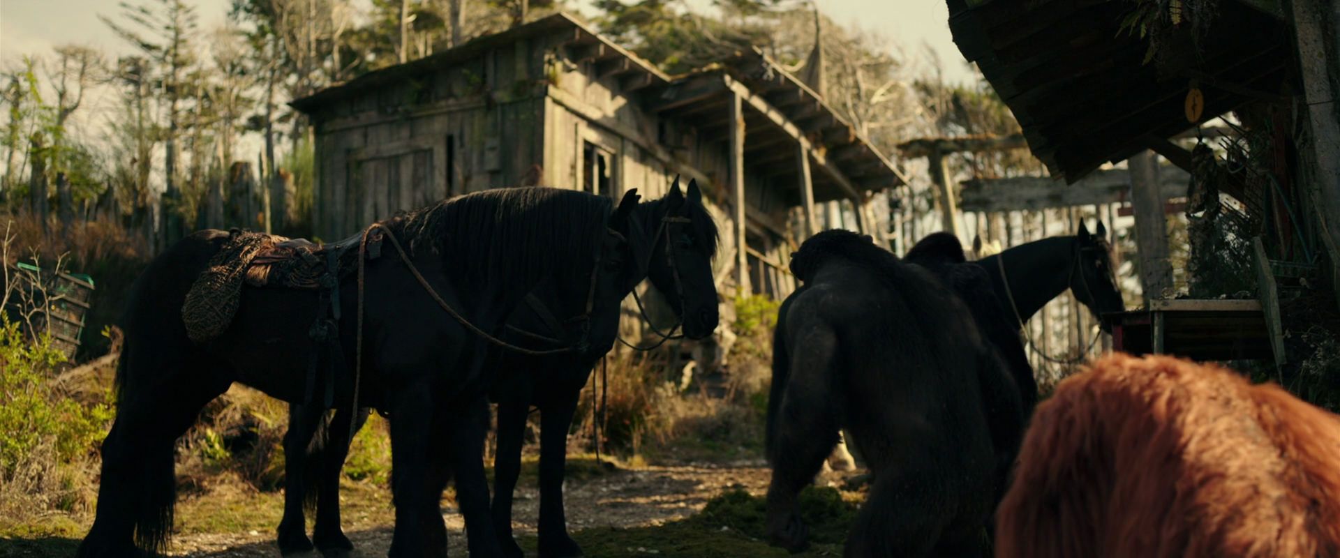 War for the Planet of the Apes (2017) HD screenshot 3788