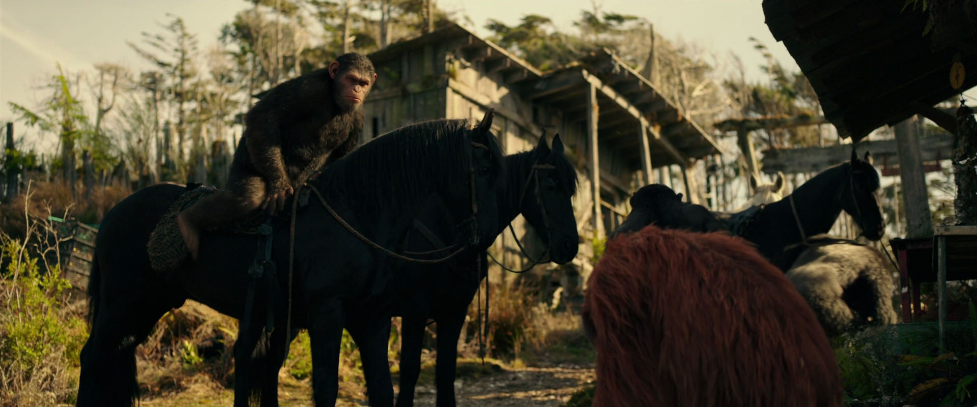 War for the Planet of the Apes (2017) HD screenshot 3794