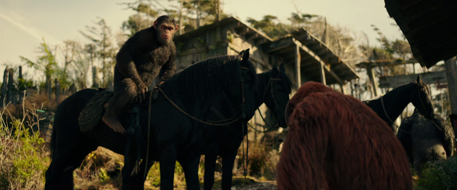 War for the Planet of the Apes (2017) HD screenshot 3797