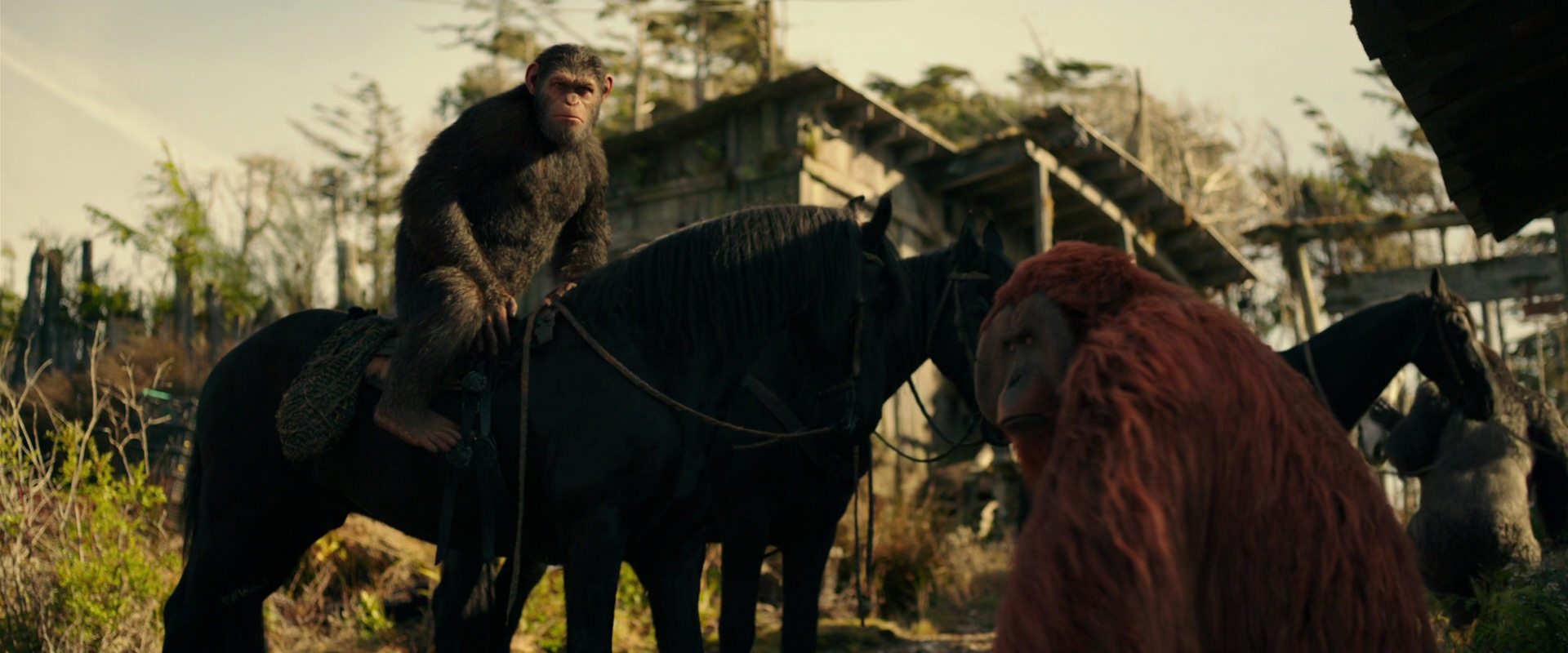 War for the Planet of the Apes (2017) screencap 3798