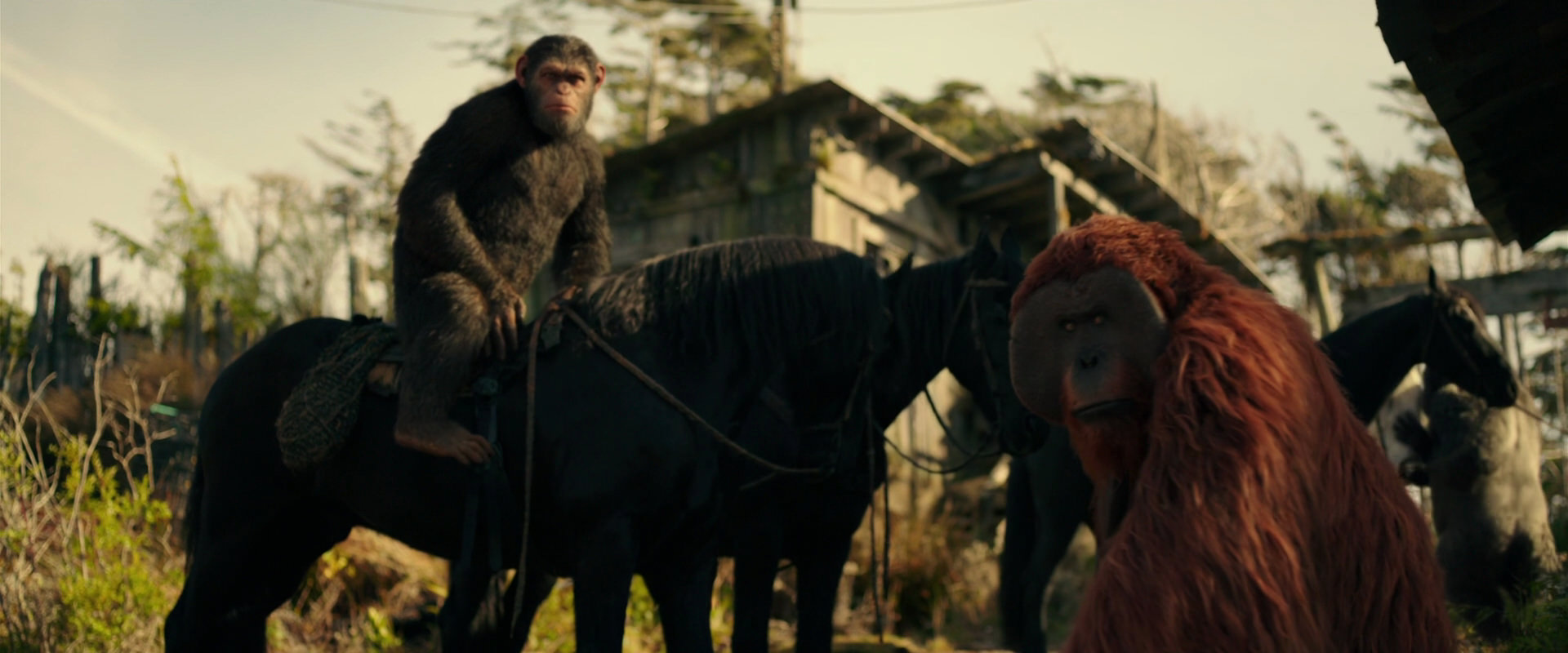War for the Planet of the Apes (2017) movie still 3799