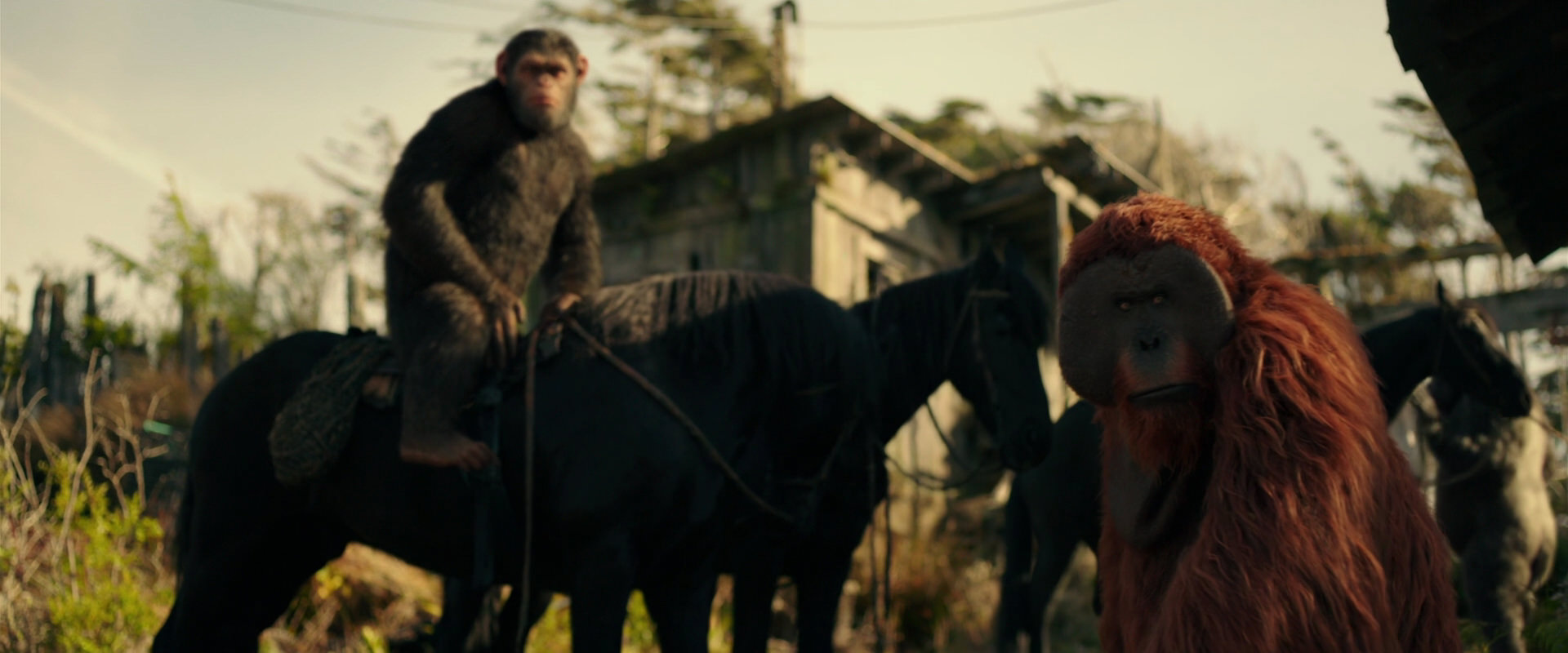 War for the Planet of the Apes (2017) HD screenshot 3800