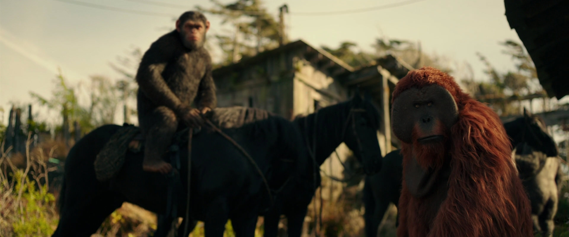War for the Planet of the Apes (2017) screencap 3801