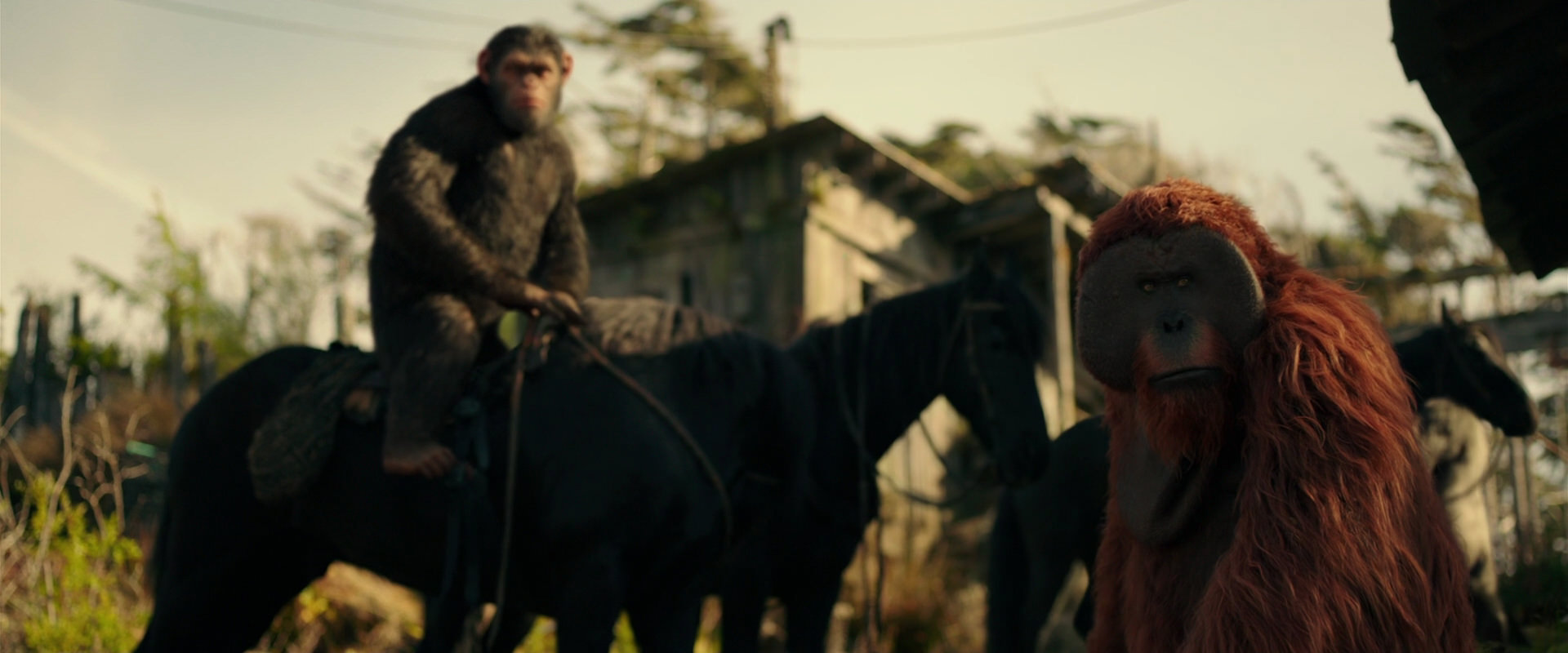 War for the Planet of the Apes (2017) movie still 3802