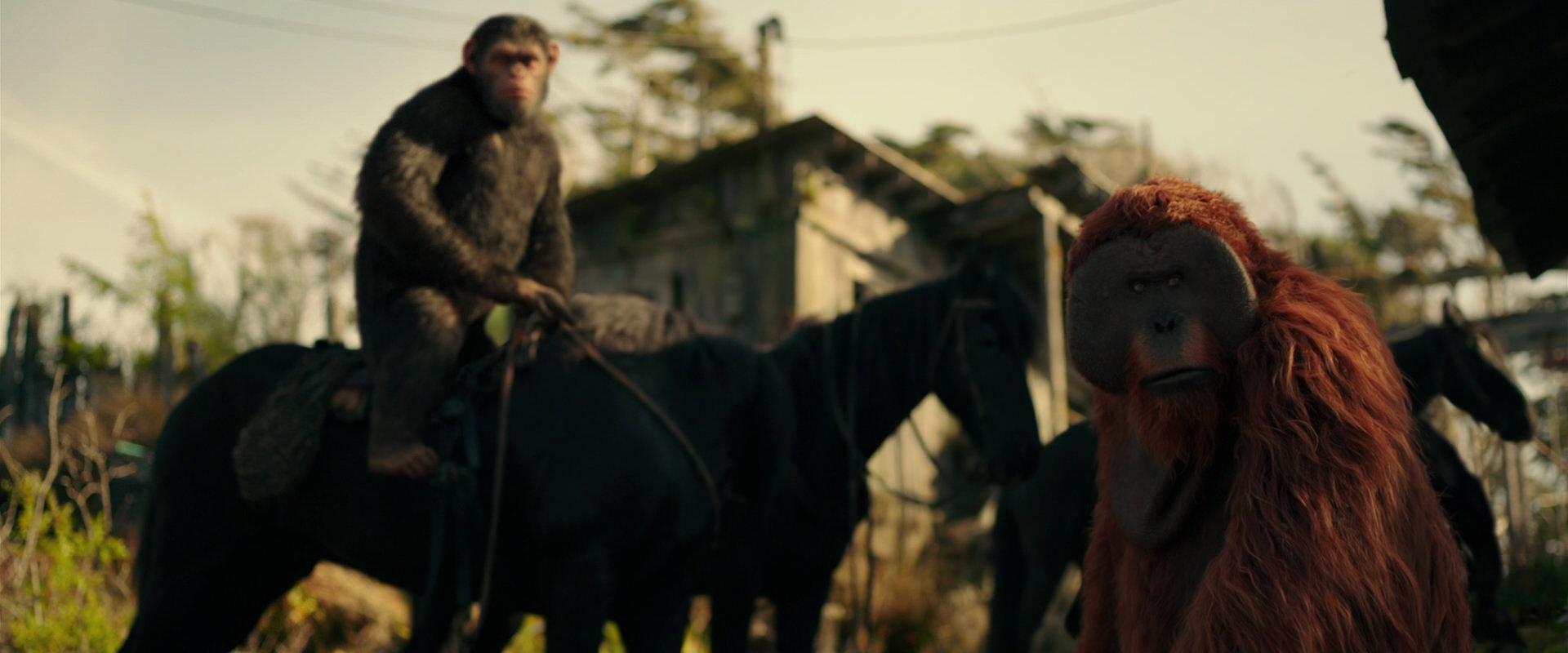 War for the Planet of the Apes (2017) HD screenshot 3803