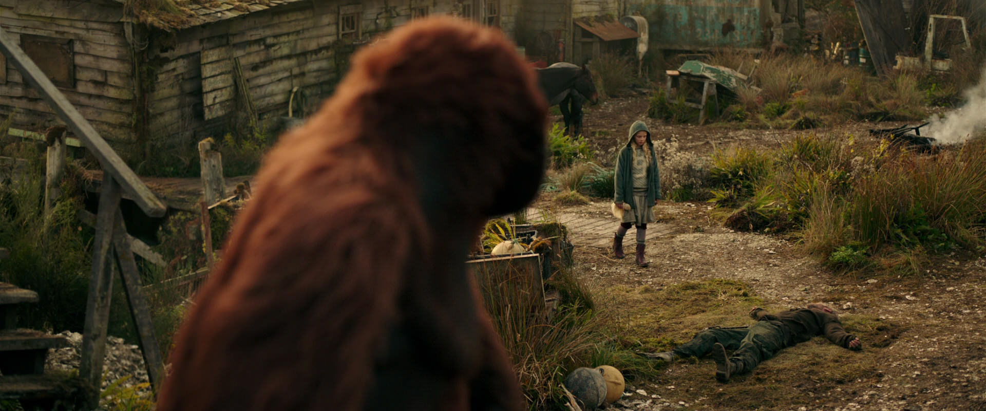 War for the Planet of the Apes (2017) screencap 3804