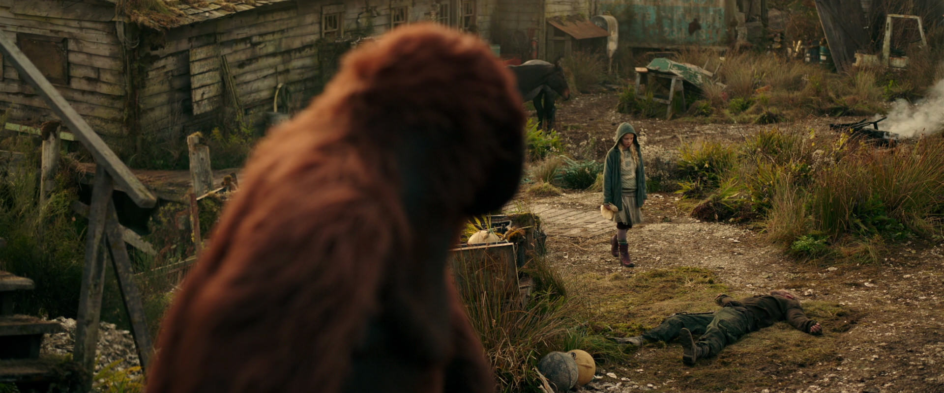 War for the Planet of the Apes (2017) screencap 3807