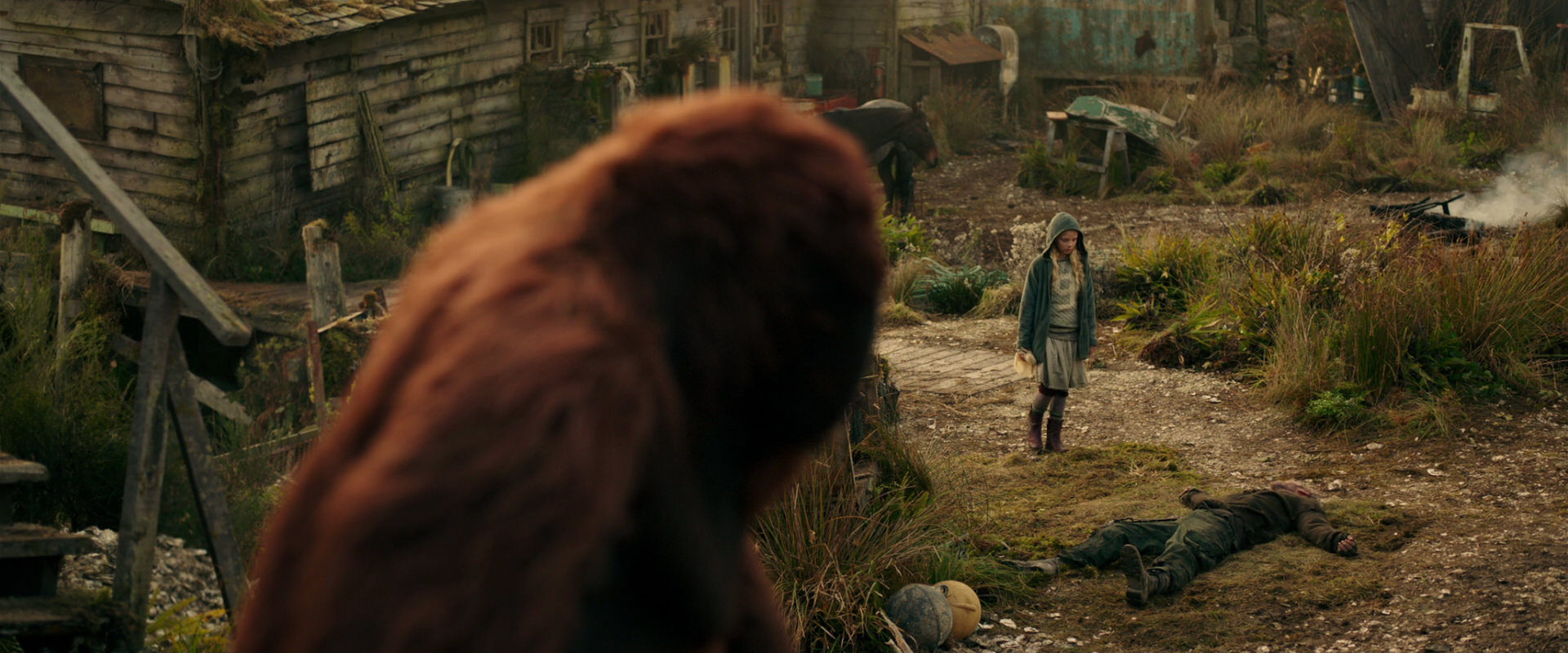 War for the Planet of the Apes (2017) screencap 3810