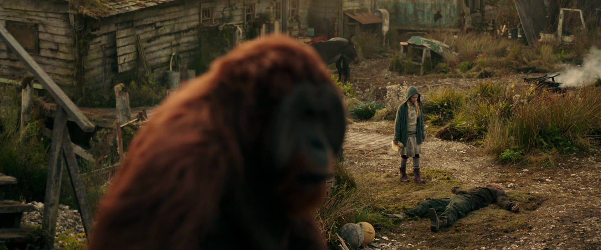 War for the Planet of the Apes (2017) movie still 3814