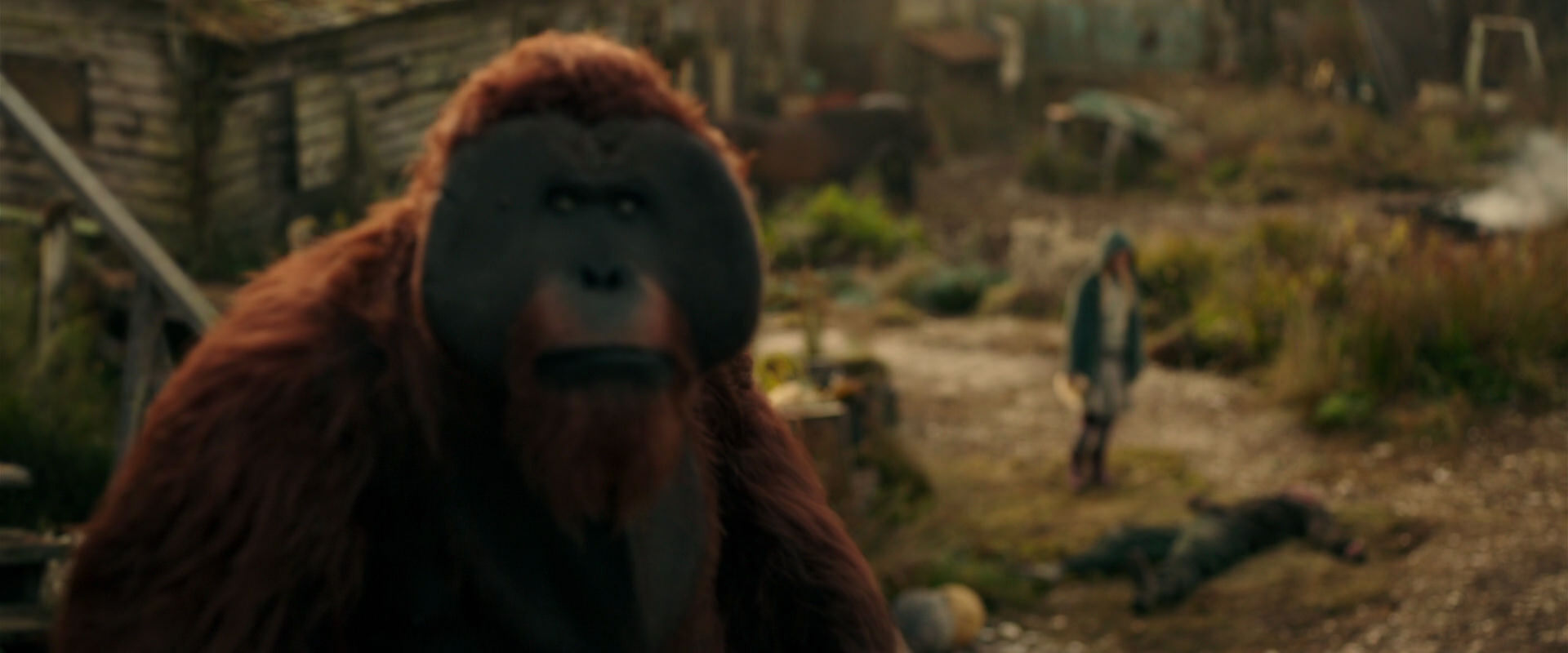 War for the Planet of the Apes (2017) screencap 3816