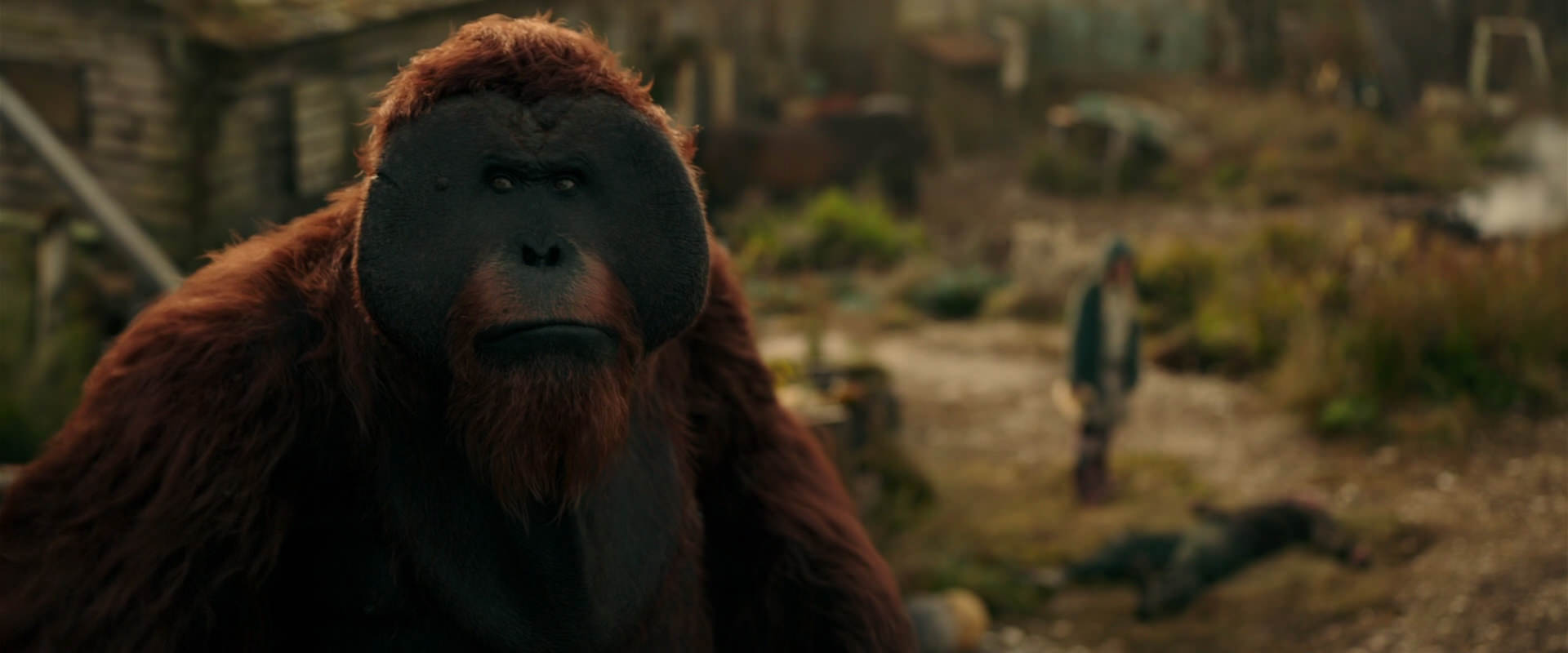 War for the Planet of the Apes (2017) movie still 3817