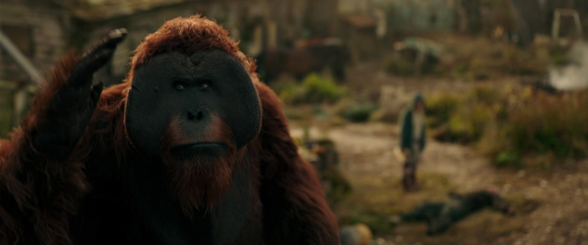 War for the Planet of the Apes (2017) HD screenshot 3818