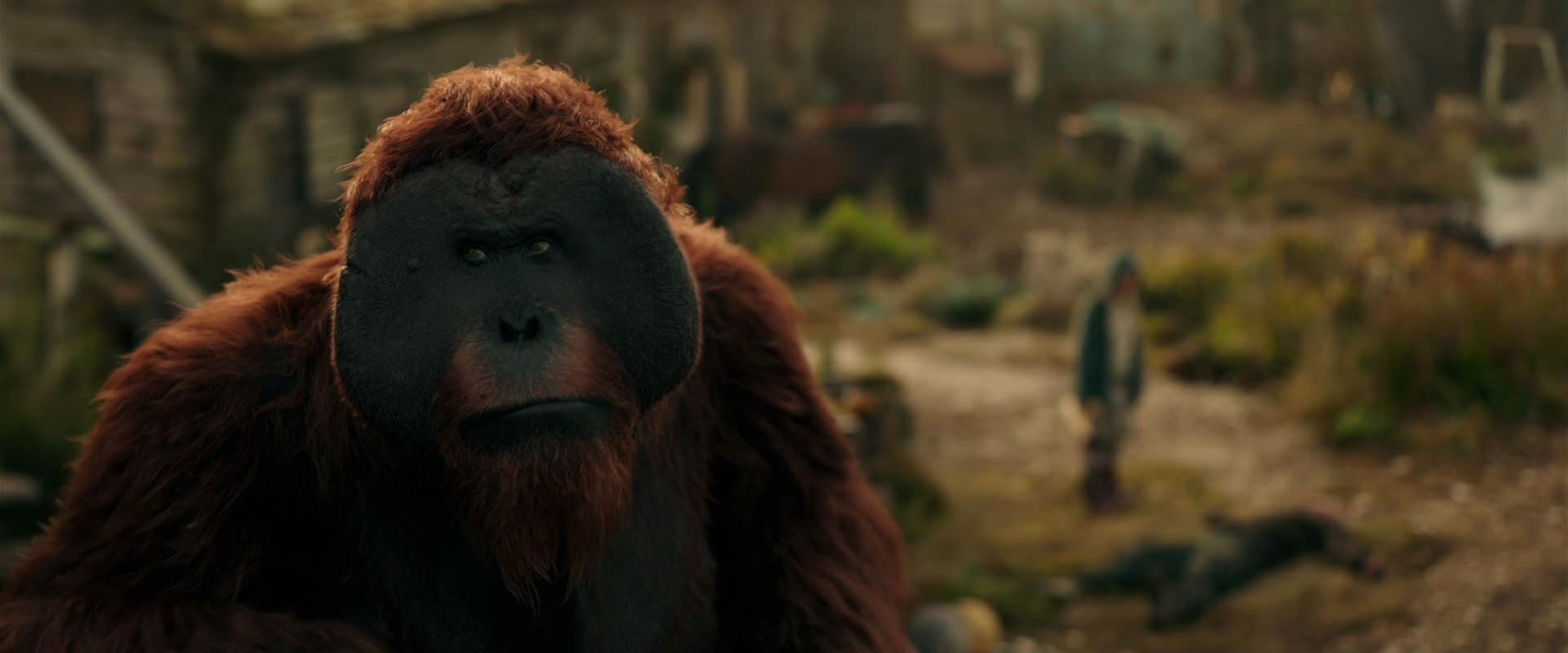 War for the Planet of the Apes (2017) screencap 3819
