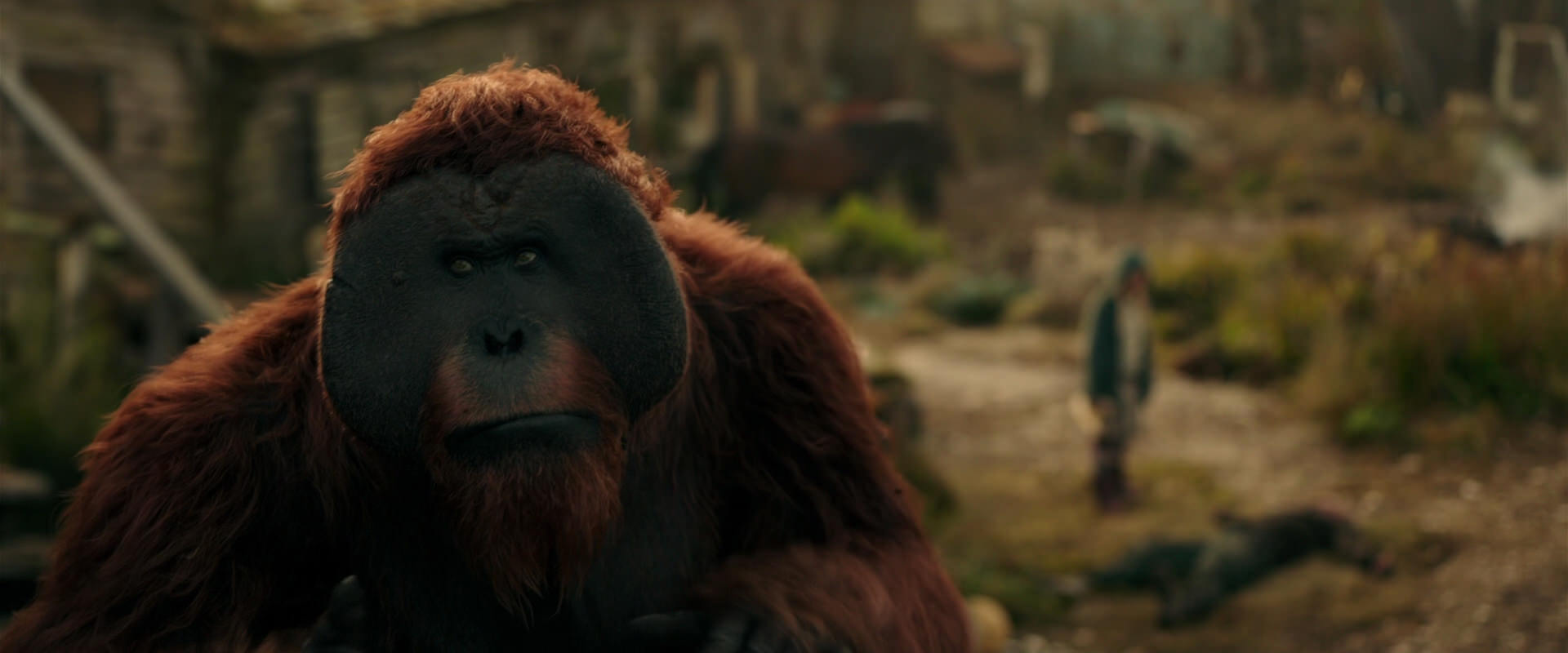 War for the Planet of the Apes (2017) movie still 3820