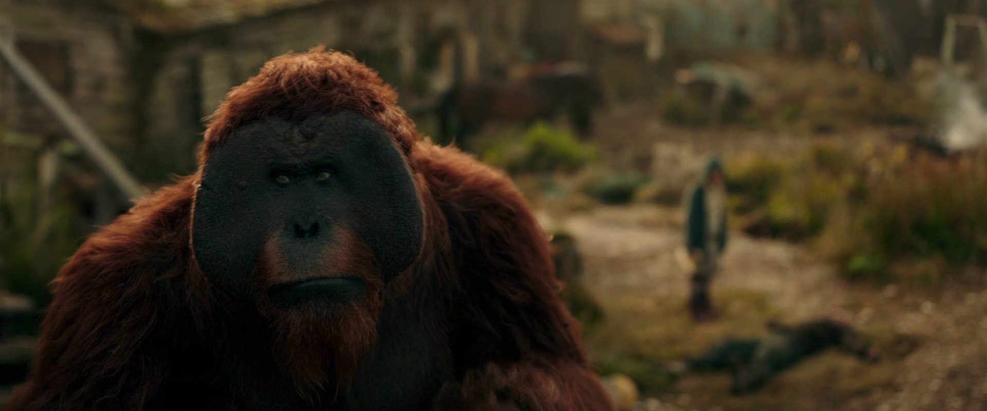 War for the Planet of the Apes (2017) HD screenshot 3821