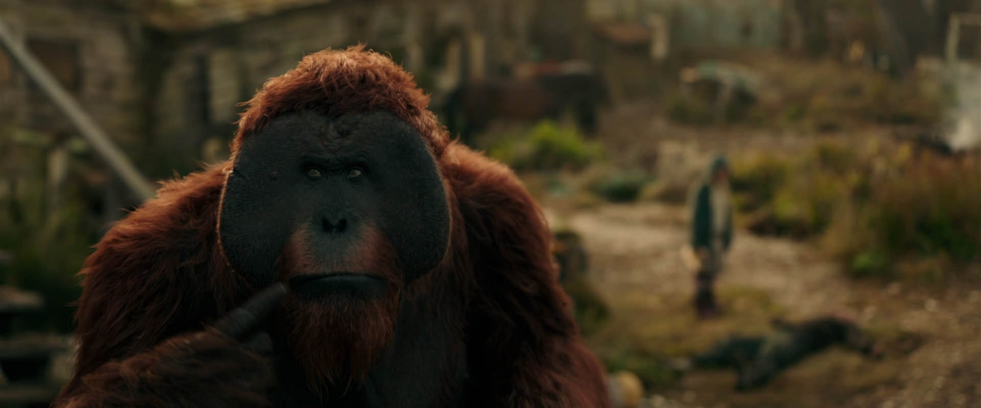 War for the Planet of the Apes (2017) screencap 3822