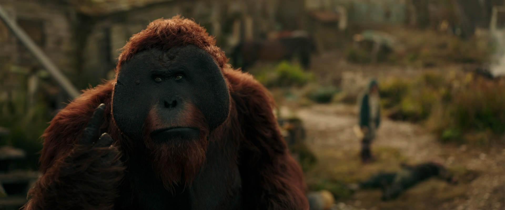 War for the Planet of the Apes (2017) movie still 3823