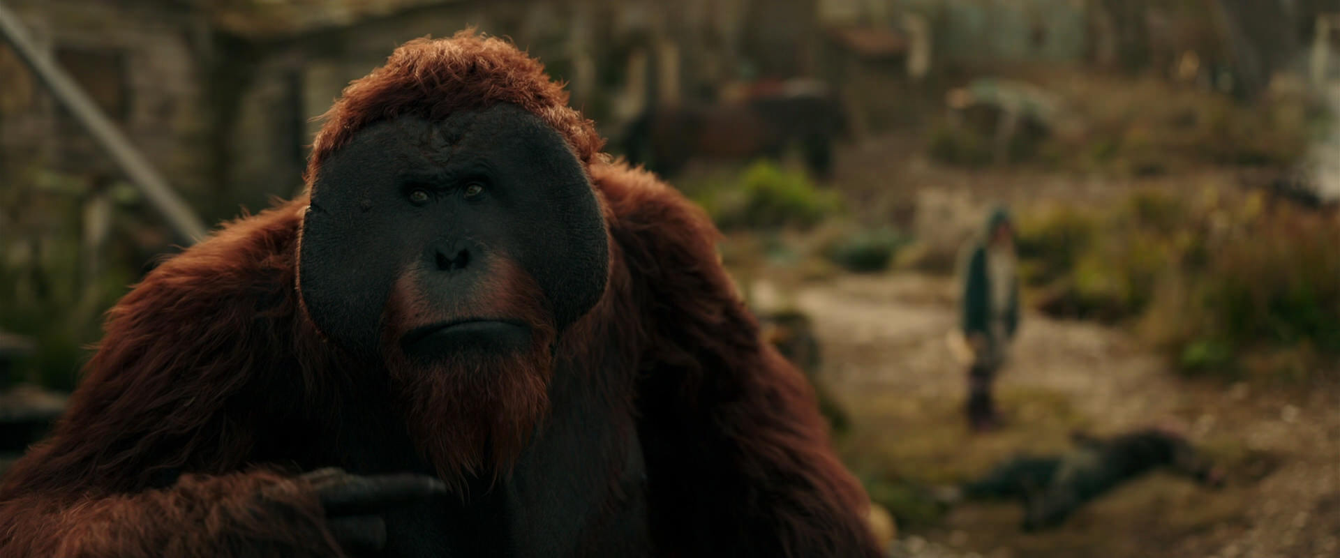 War for the Planet of the Apes (2017) HD screenshot 3824