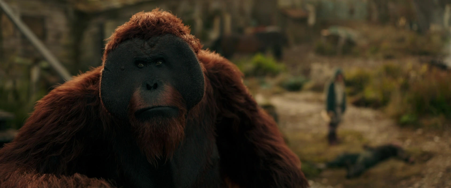 War for the Planet of the Apes (2017) screencap 3825