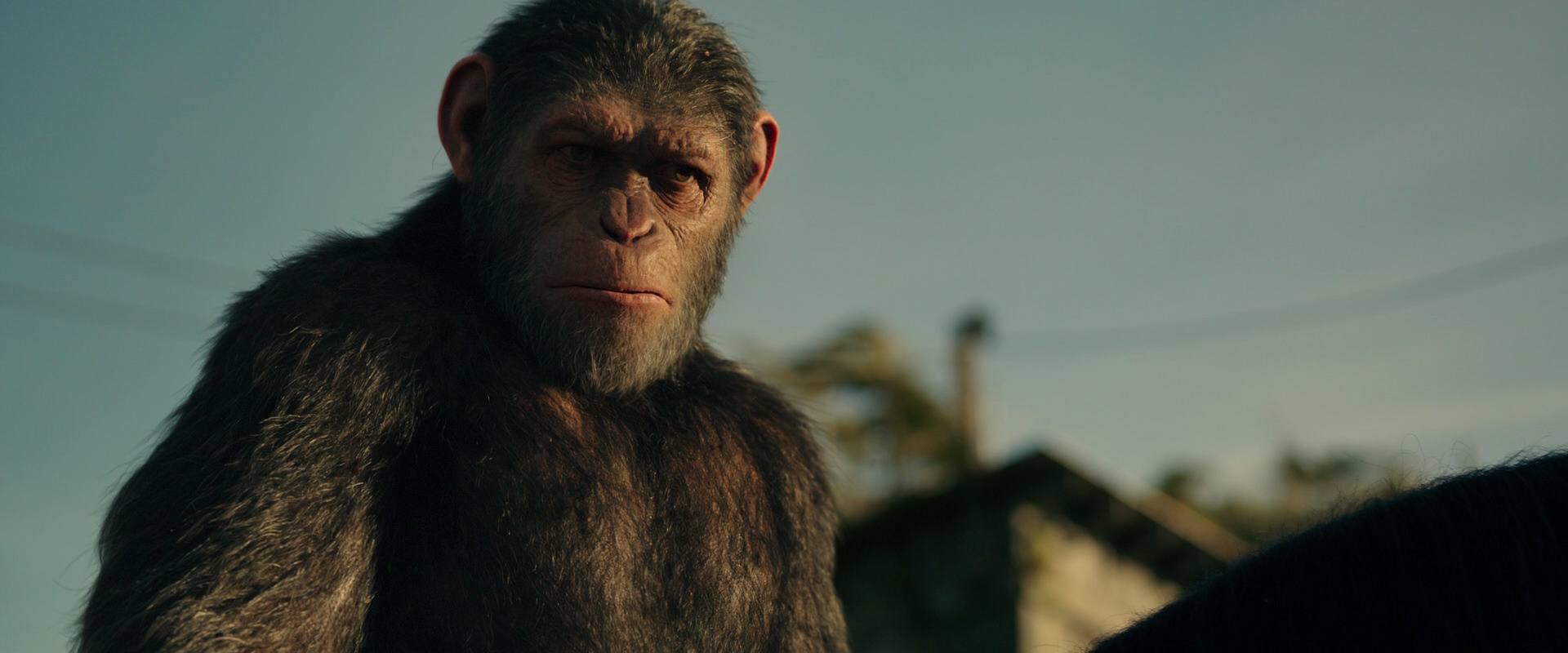 War for the Planet of the Apes (2017) movie still 3826