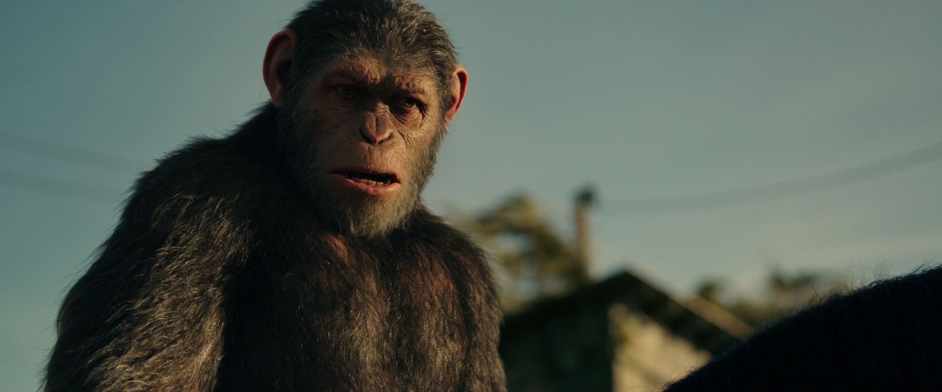 War for the Planet of the Apes (2017) HD screenshot 3827
