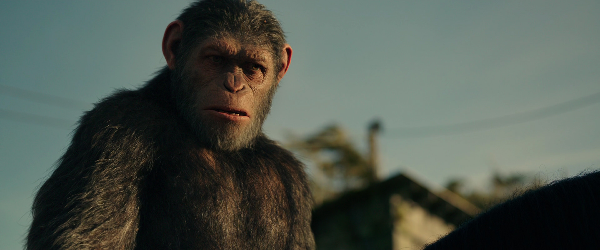 War for the Planet of the Apes (2017) movie still 3829