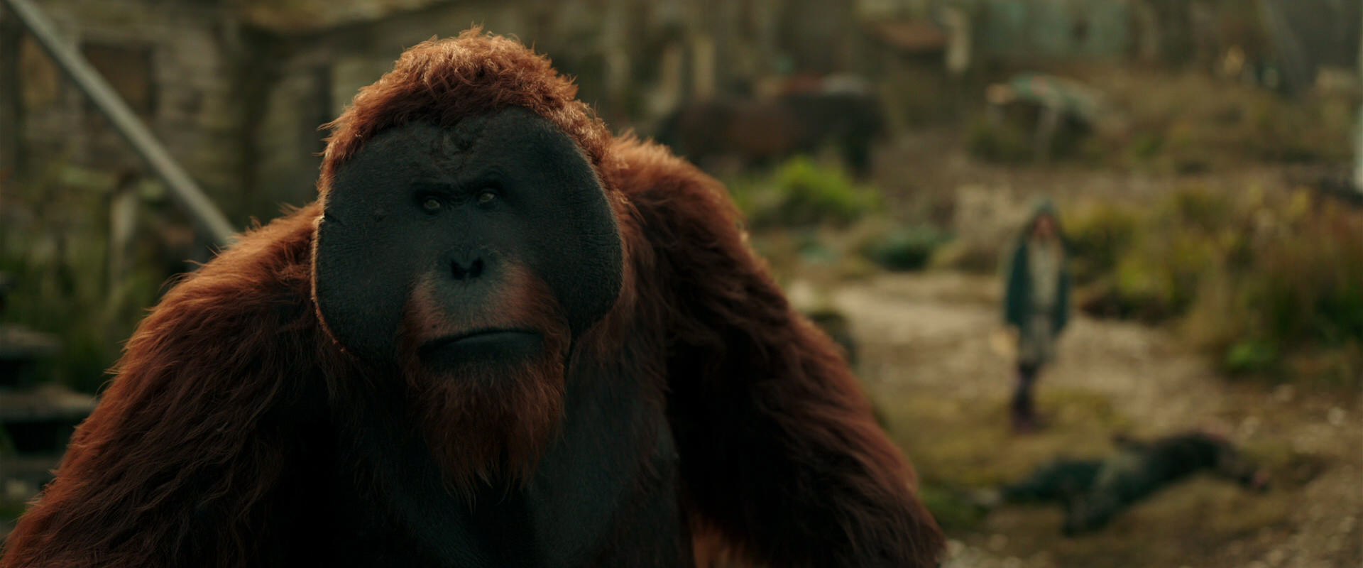 War for the Planet of the Apes (2017) HD screenshot 3830