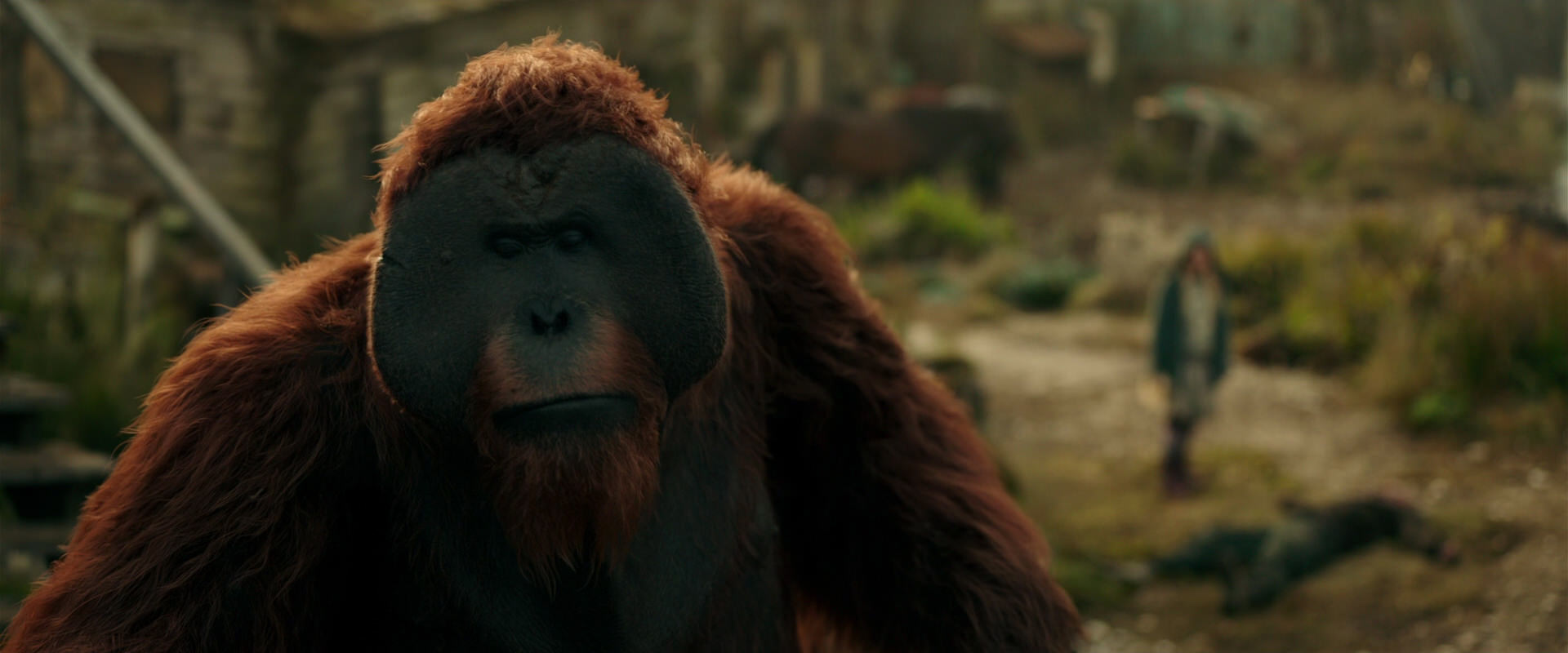 War for the Planet of the Apes (2017) screencap 3831