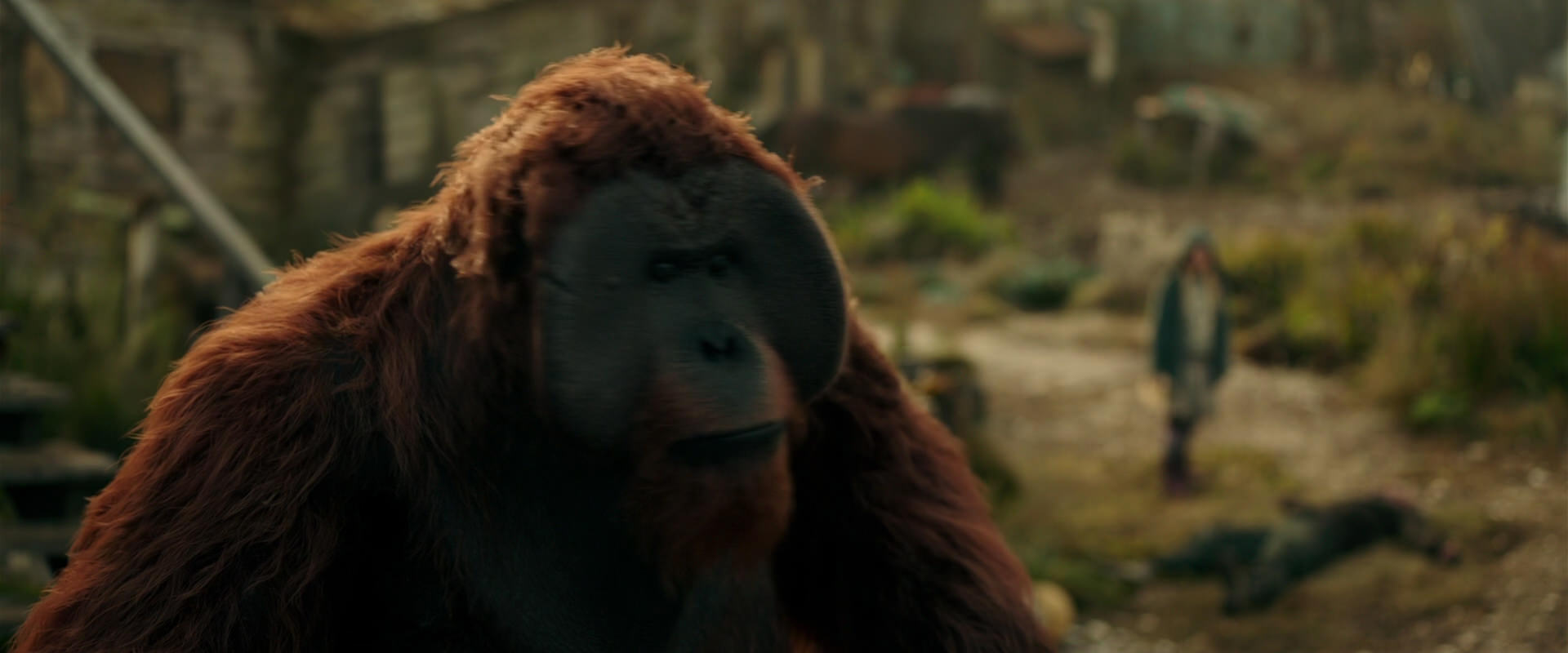War for the Planet of the Apes (2017) movie still 3832