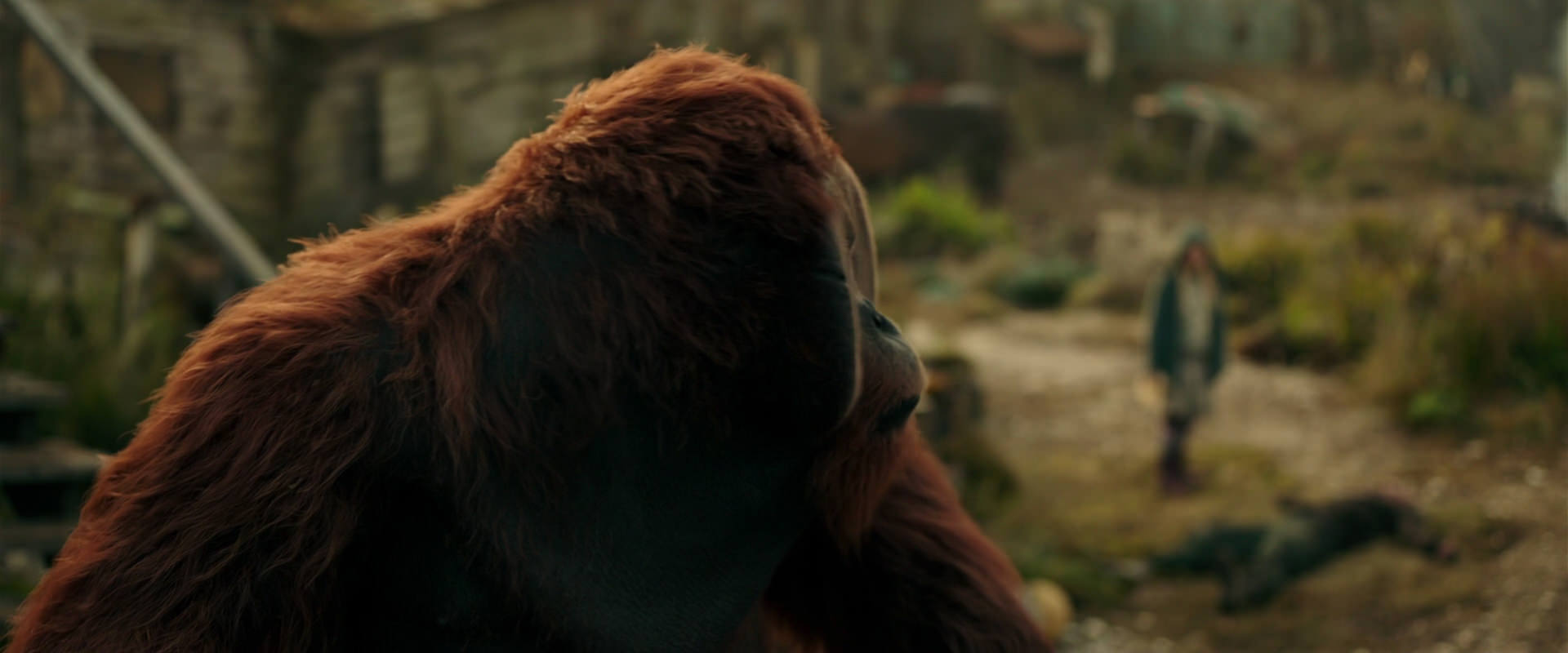 War for the Planet of the Apes (2017) HD screenshot 3833