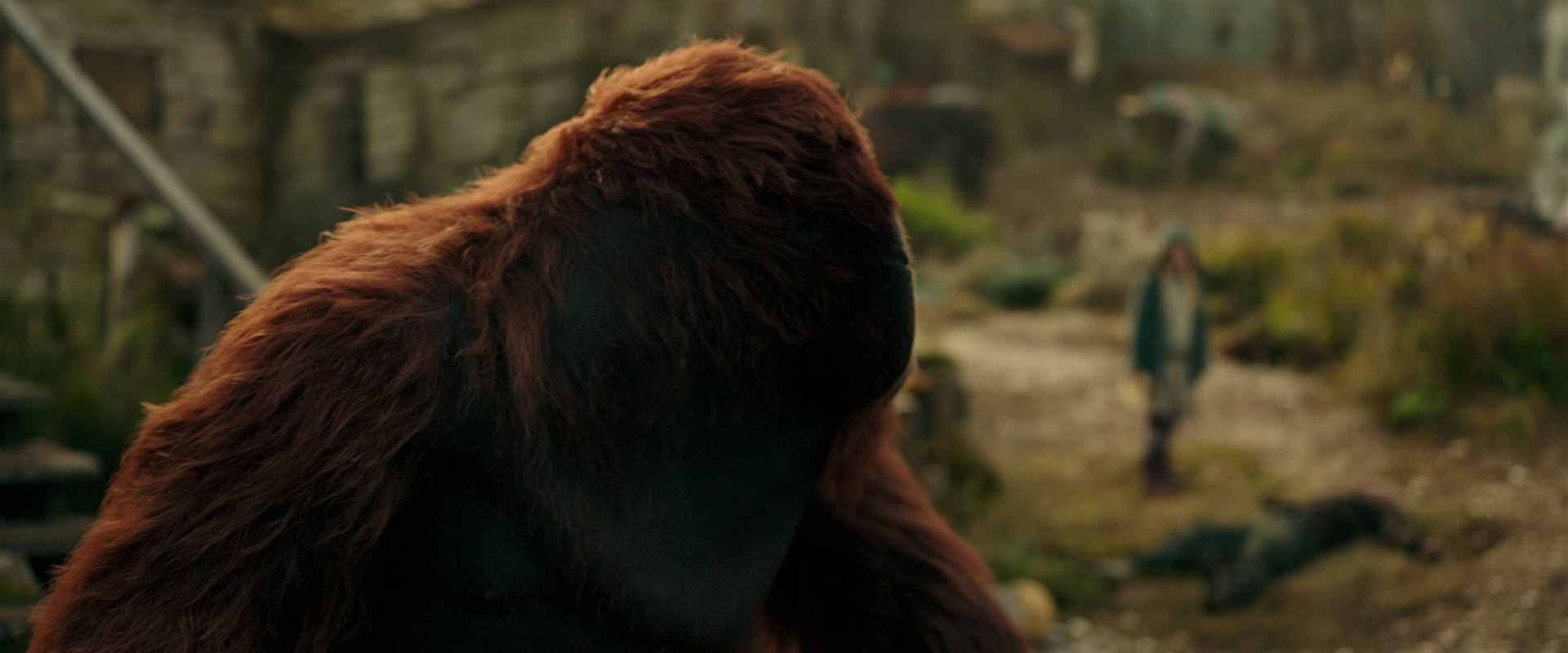 War for the Planet of the Apes (2017) screencap 3834