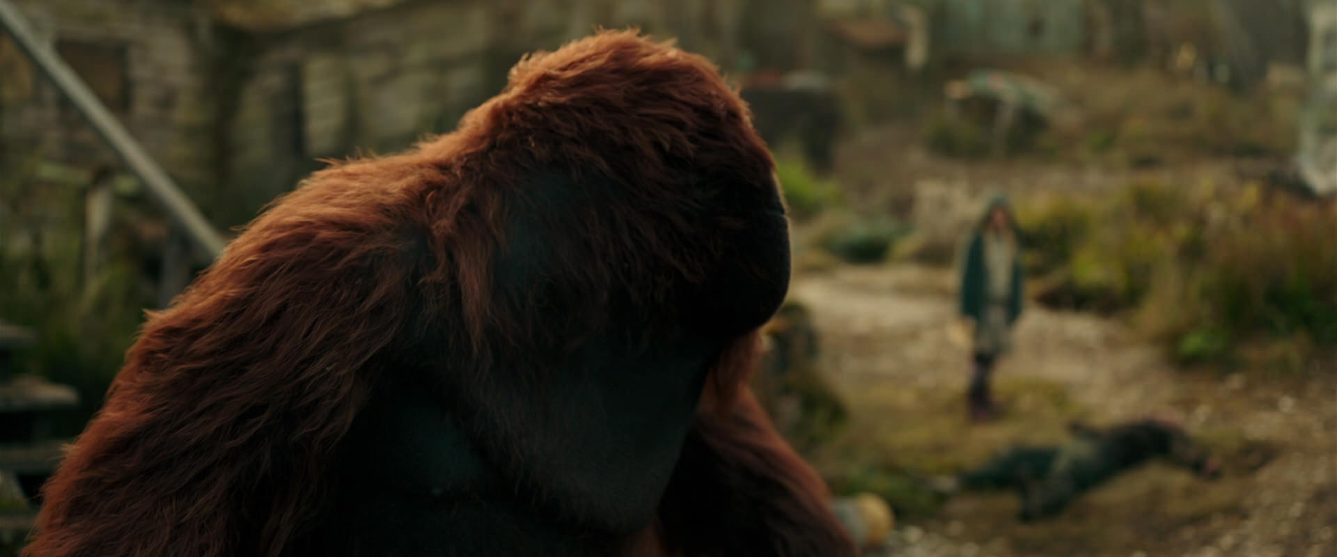 War for the Planet of the Apes (2017) movie still 3835