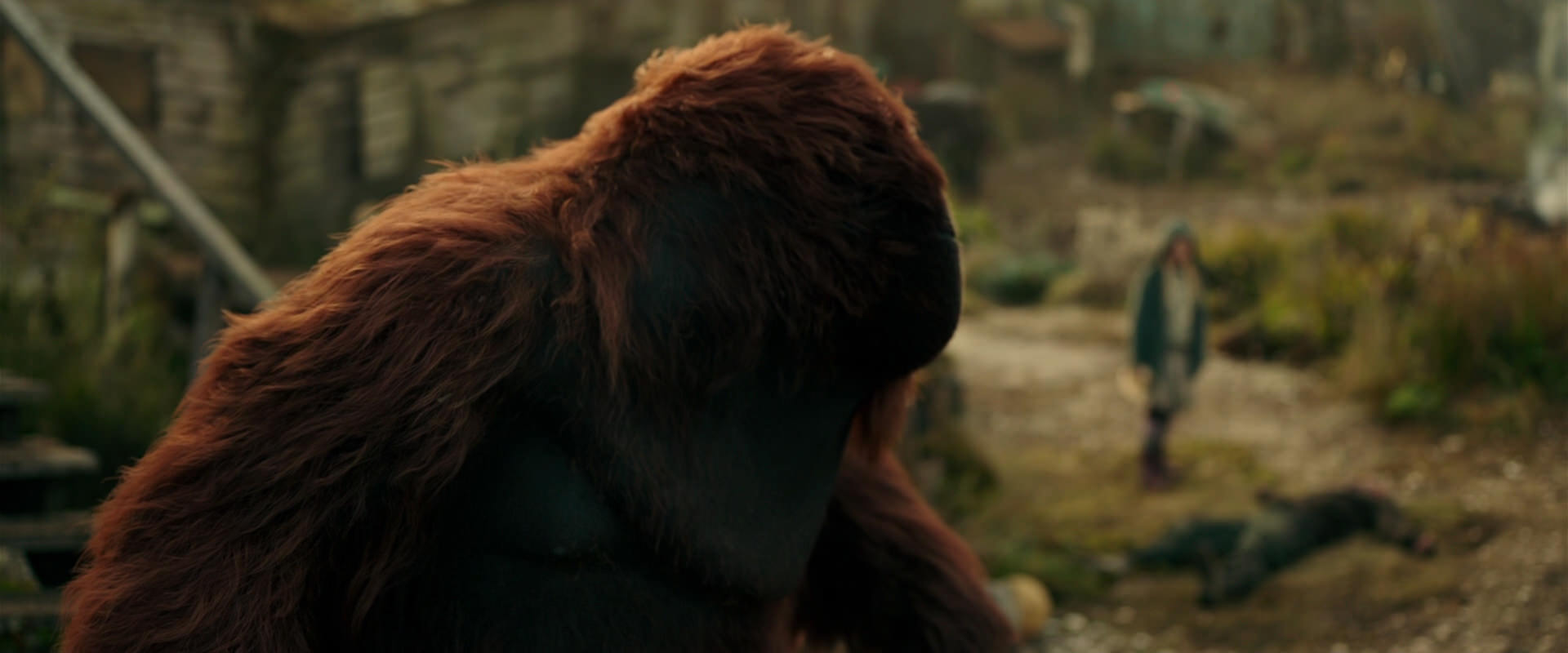 War for the Planet of the Apes (2017) screencap 3837