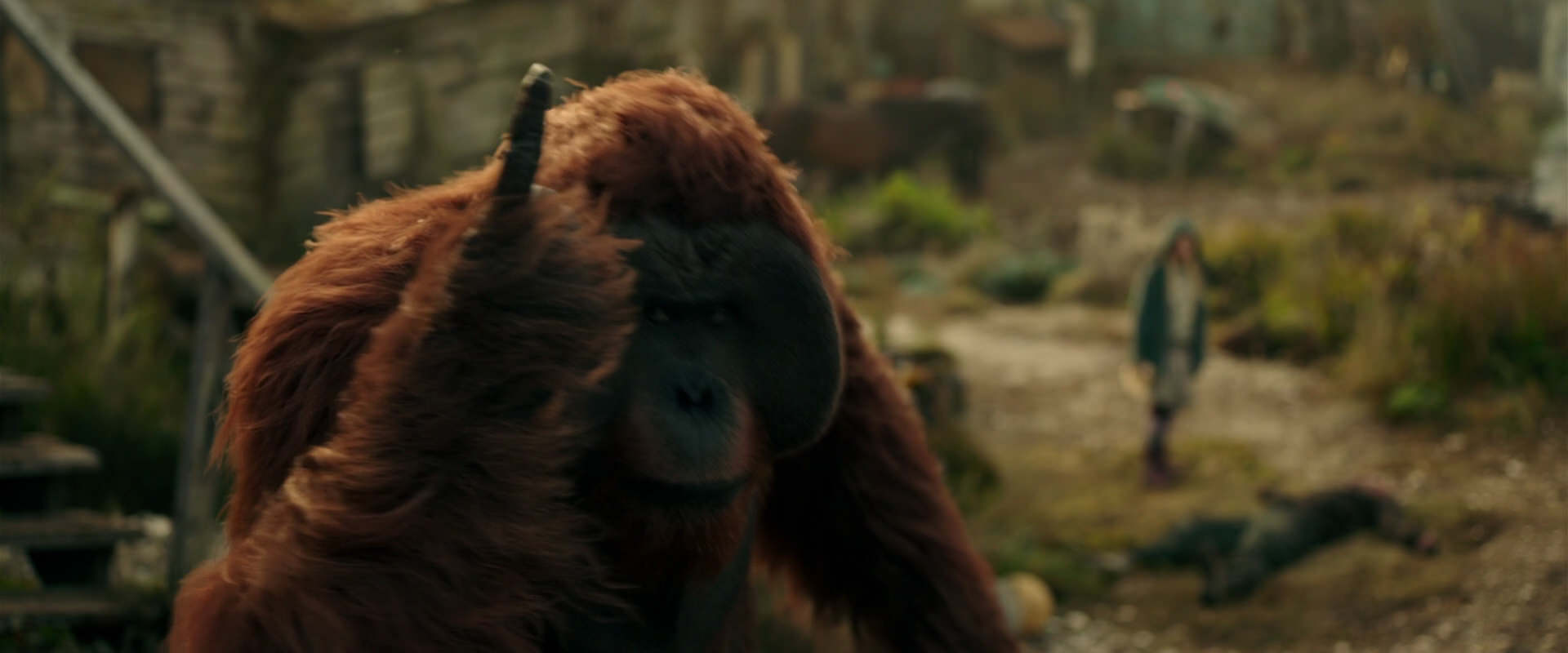 War for the Planet of the Apes (2017) screencap 3840