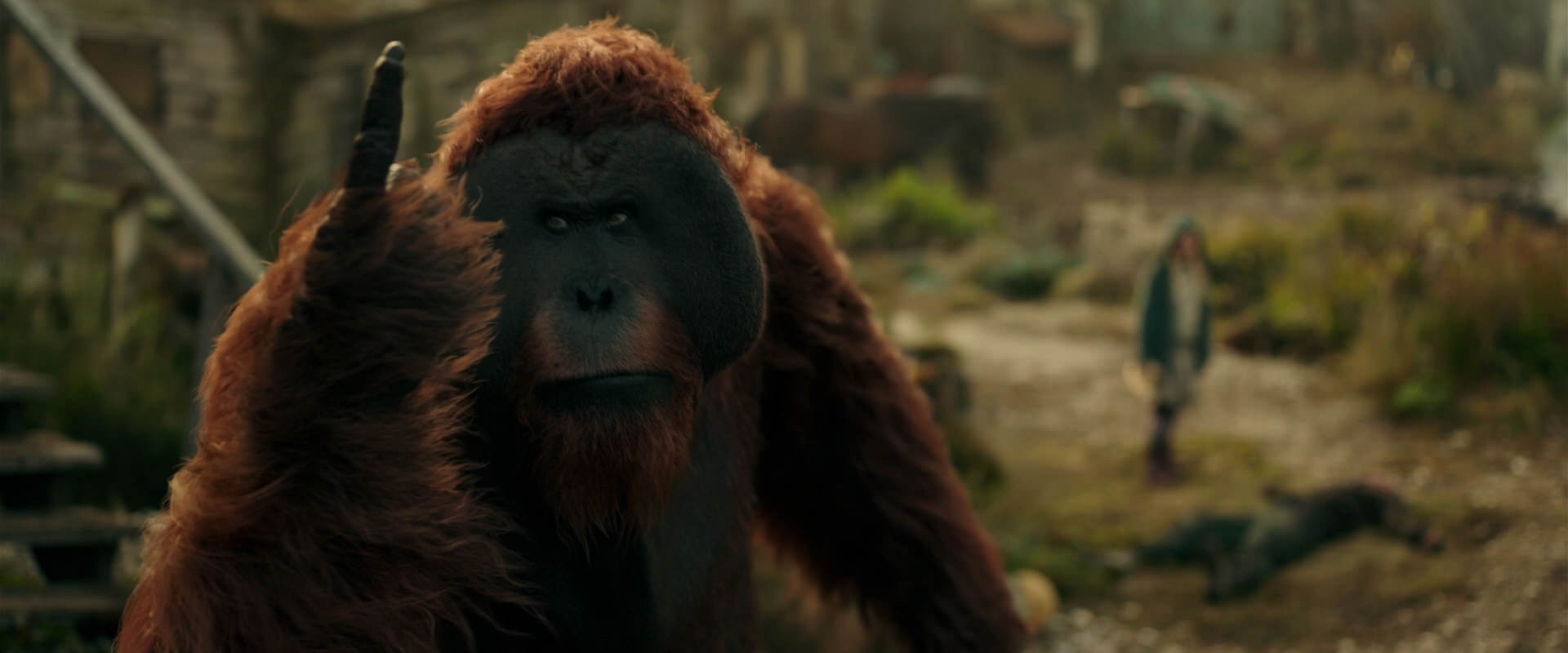 War for the Planet of the Apes (2017) movie still 3841