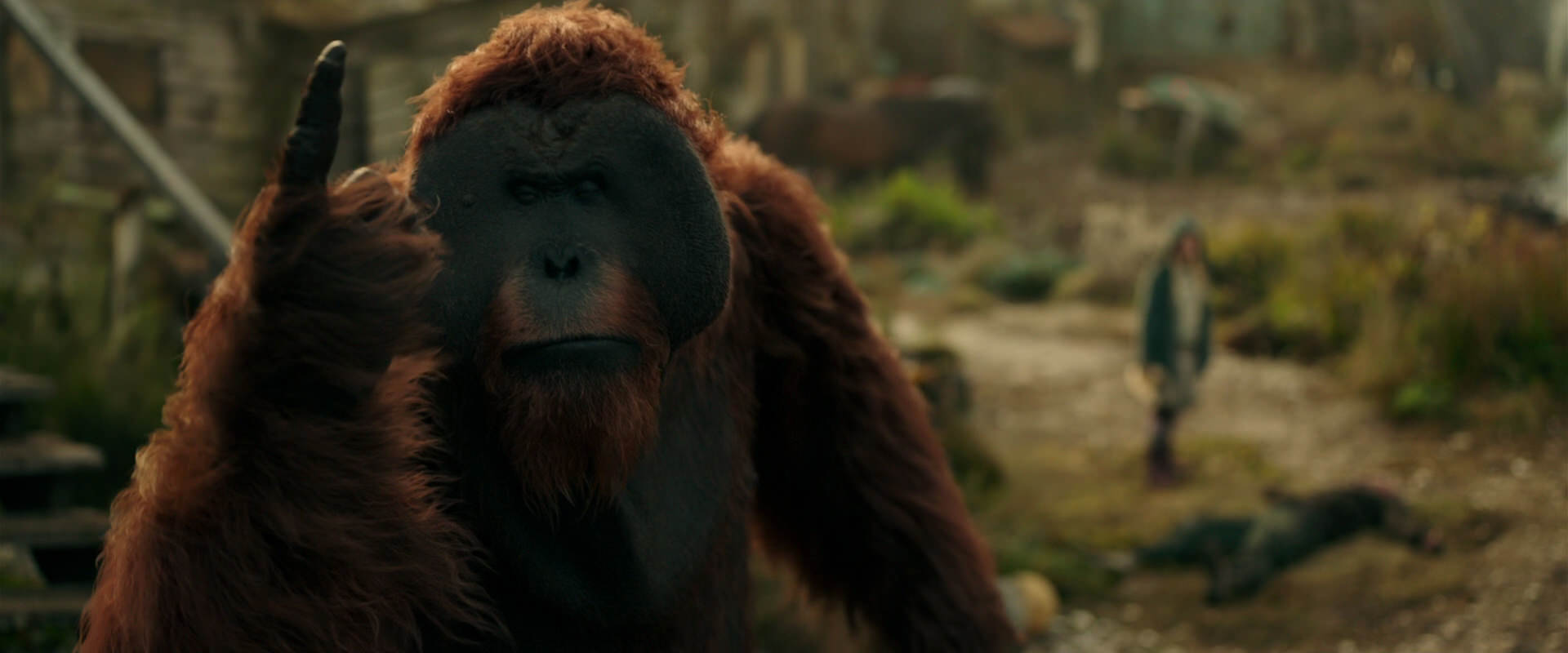 War for the Planet of the Apes (2017) HD screenshot 3842