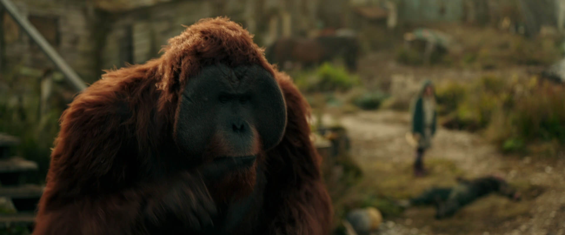 War for the Planet of the Apes (2017) screencap 3843