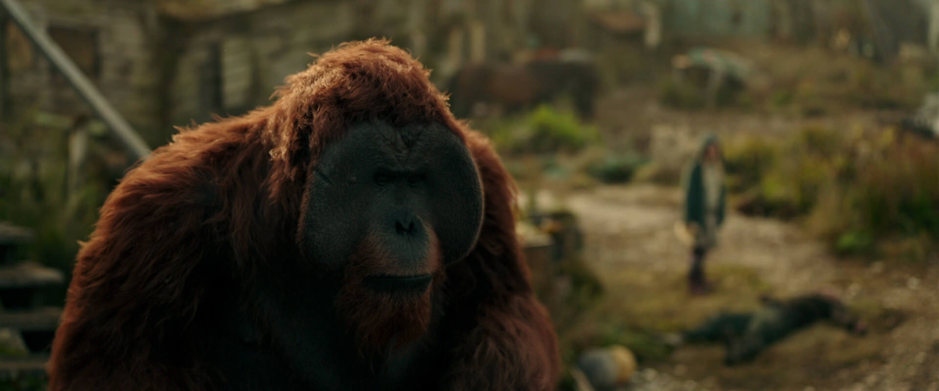 War for the Planet of the Apes (2017) movie still 3844