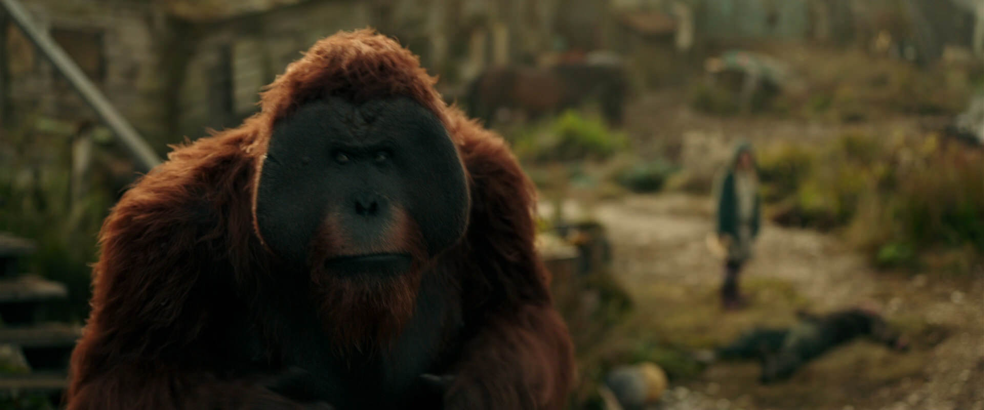 War for the Planet of the Apes (2017) HD screenshot 3845