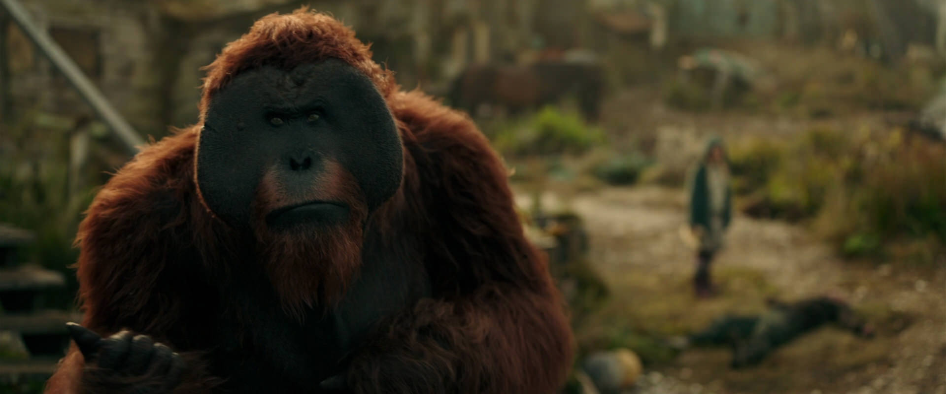 War for the Planet of the Apes (2017) screencap 3846