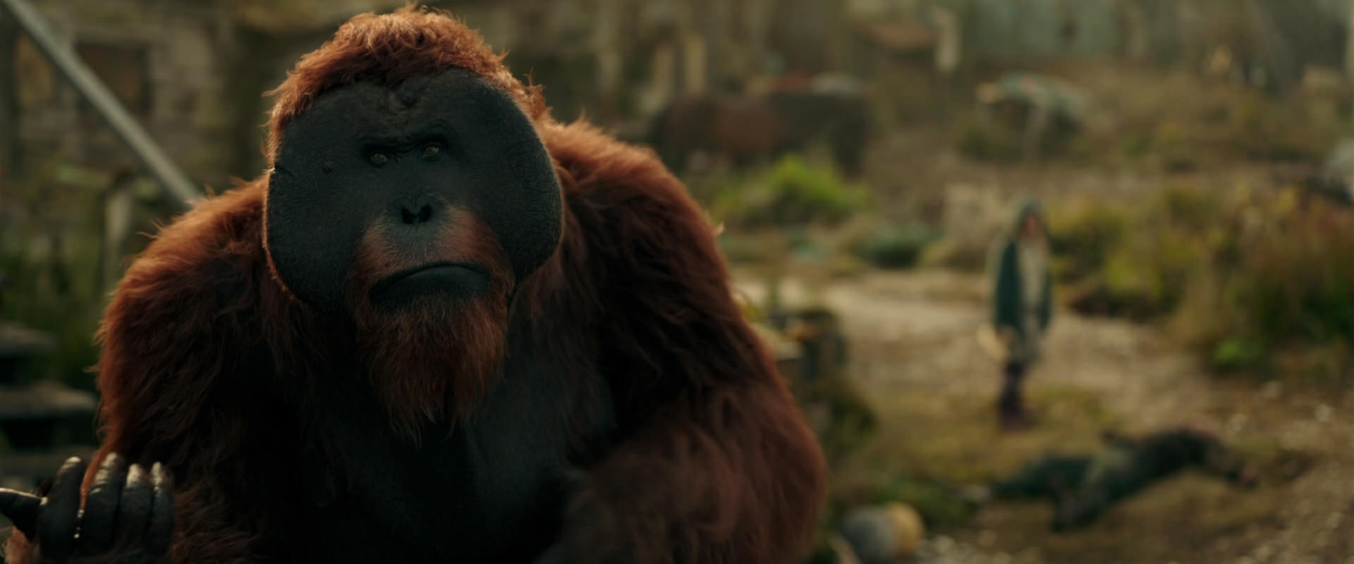War for the Planet of the Apes (2017) movie still 3847