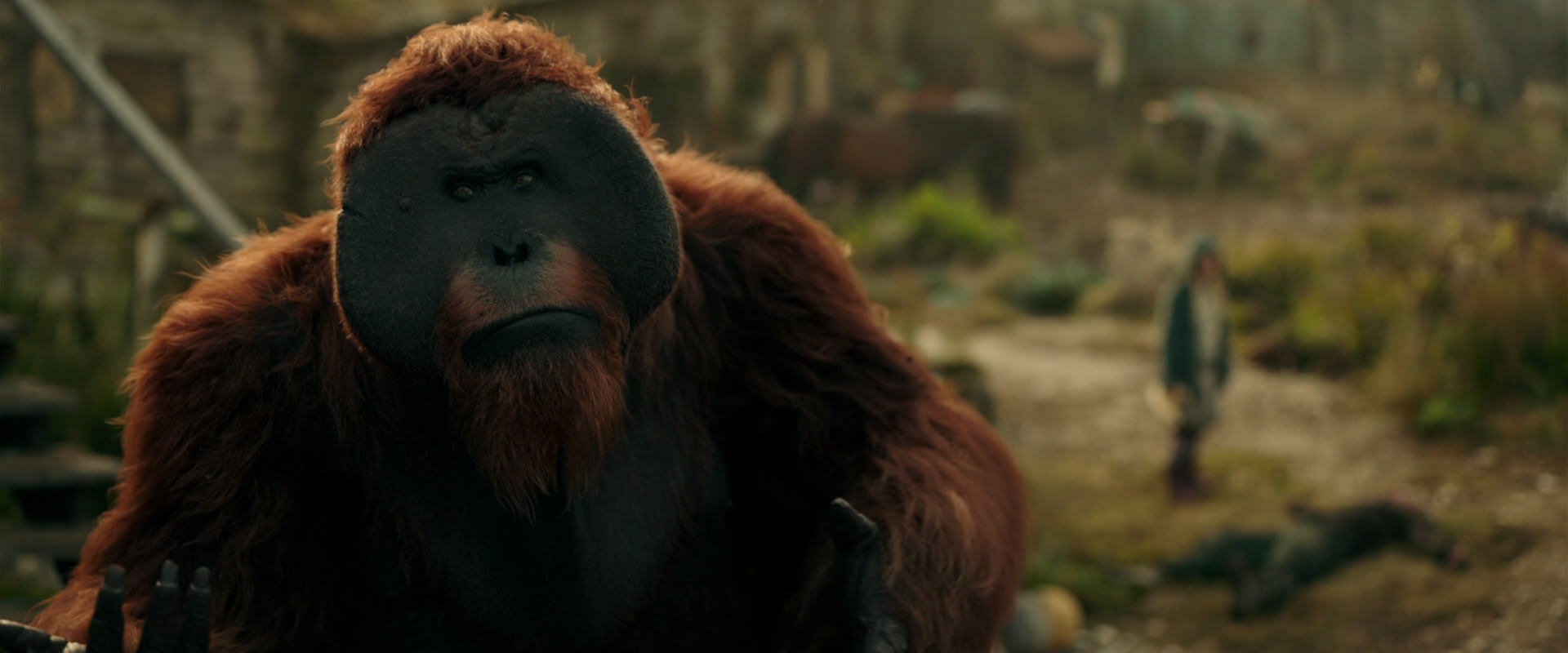 War for the Planet of the Apes (2017) HD screenshot 3848