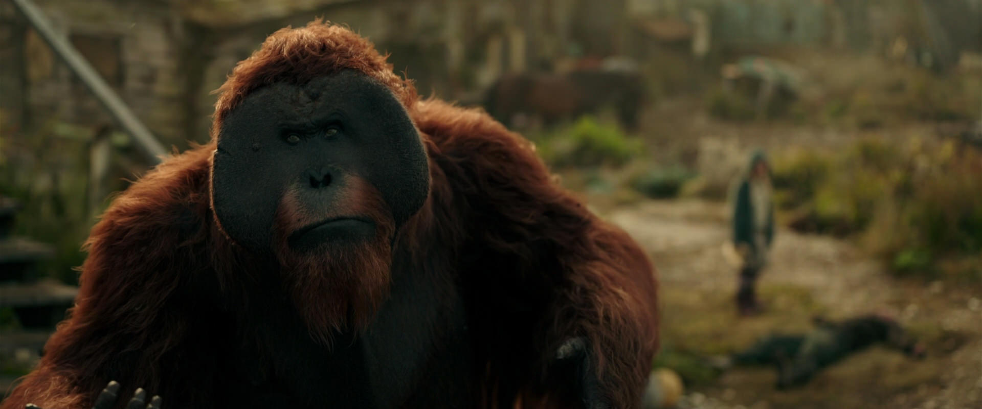 War for the Planet of the Apes (2017) screencap 3849